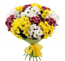 Beautiful bouquet  of Chrysanthemums
