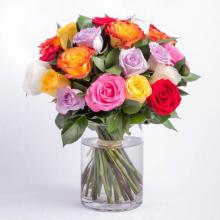 Rainbow Bunch